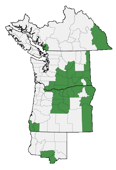 Map of where plant is found