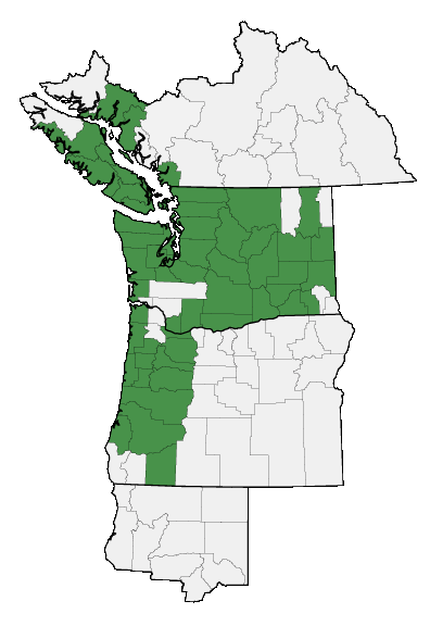 Map of where plant is found