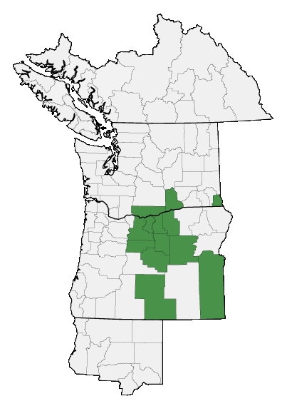 Map of where plant is found