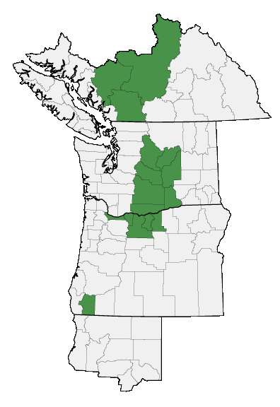 Map of where plant is found