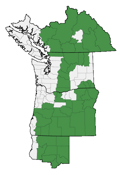 Map of where plant is found