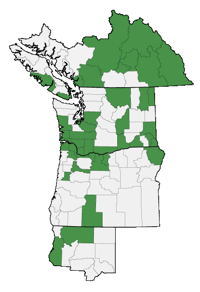Map of where plant is found
