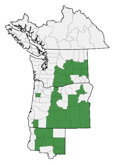 Map of where plant is found