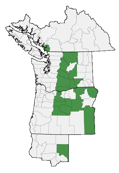 Map of where plant is found