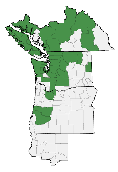 Map of where plant is found