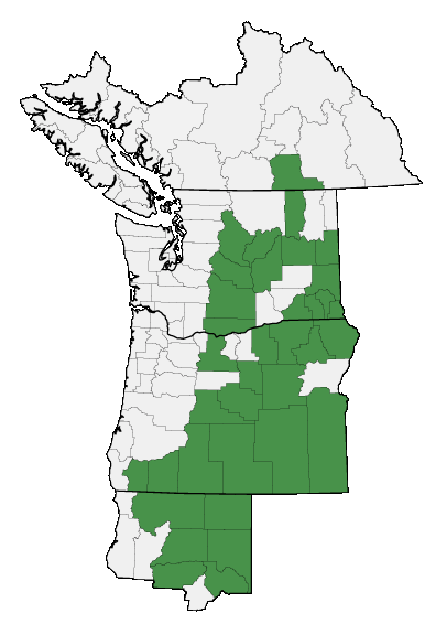 Map of where plant is found