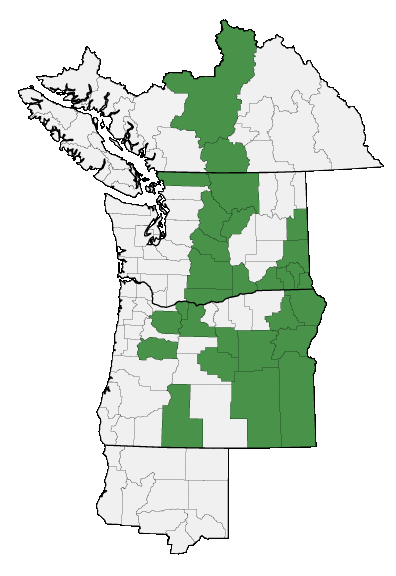 Map of where plant is found