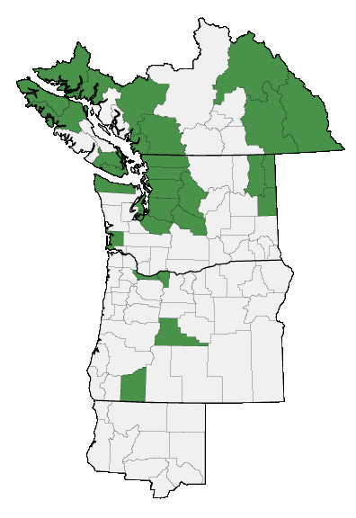 Map of where plant is found