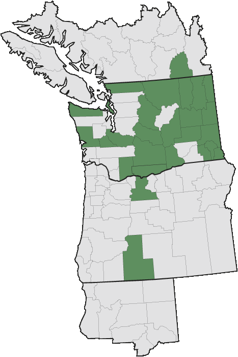 Map of where plant is found