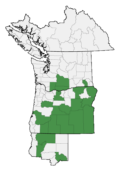 Map of where plant is found