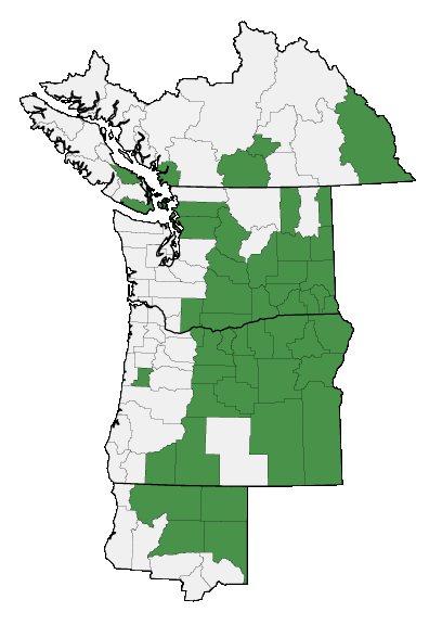 Map of where plant is found