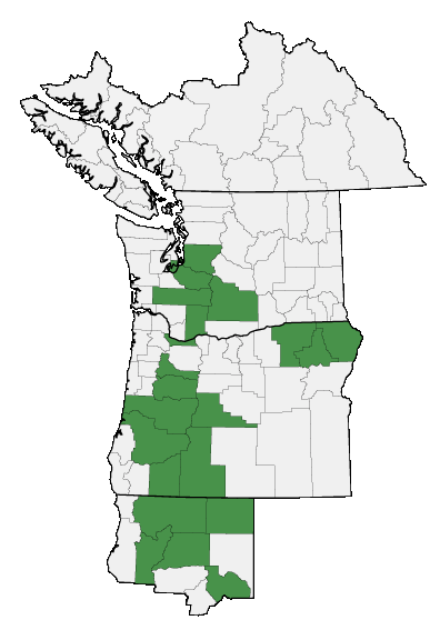 Map of where plant is found