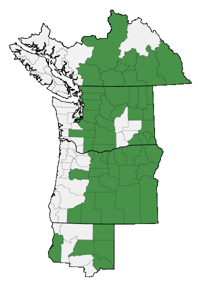 Map of where plant is found