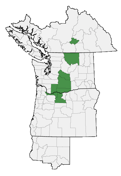 Map of where plant is found