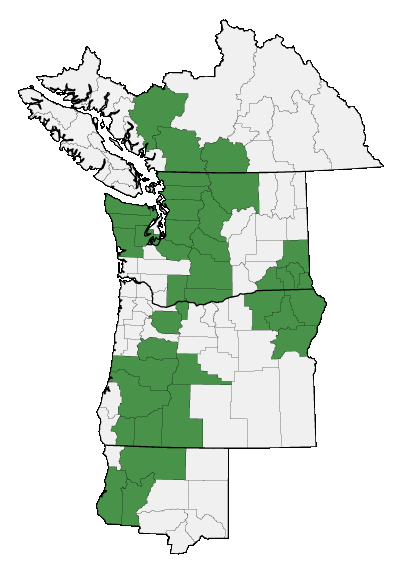 Map of where plant is found