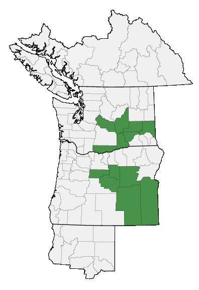 Map of where plant is found