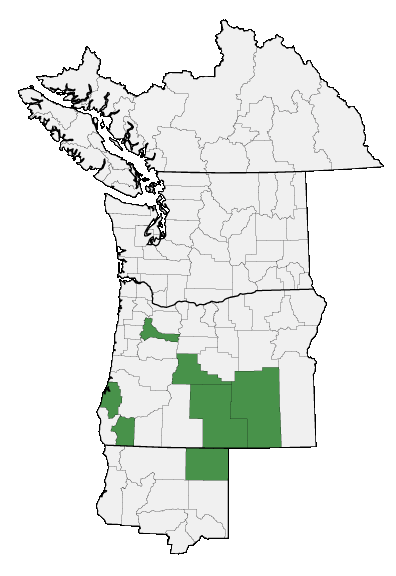 Map of where plant is found