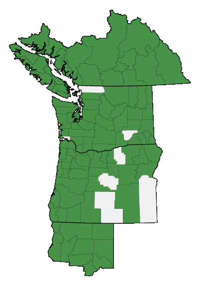 Map of where plant is found