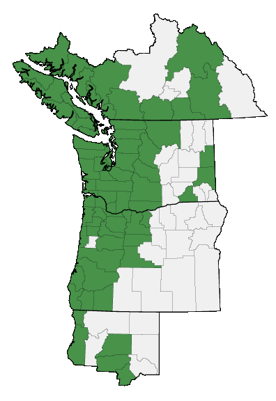 Map of where plant is found