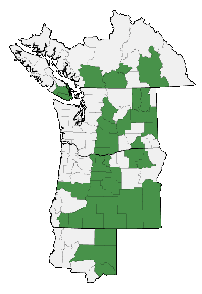 Map of where plant is found