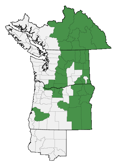 Map of where plant is found