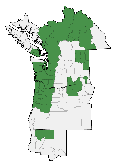 Map of where plant is found