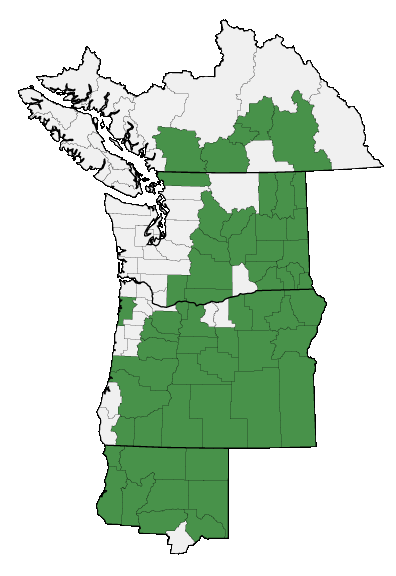Map of where plant is found