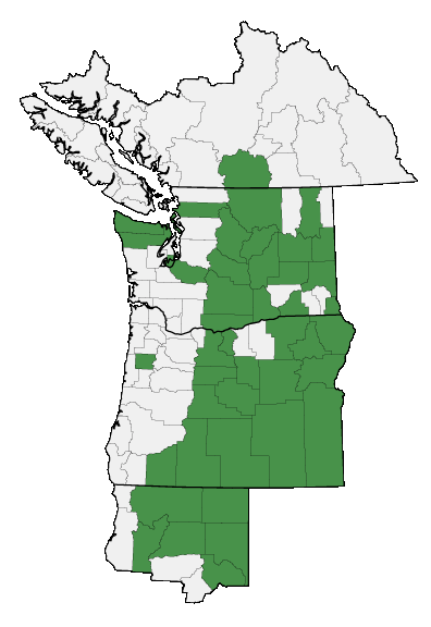 Map of where plant is found