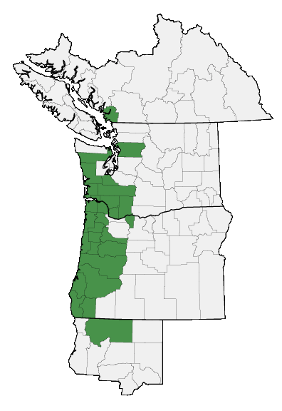 Map of where plant is found