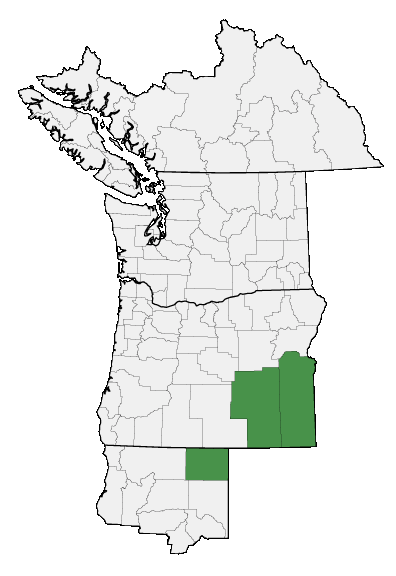 Map of where plant is found