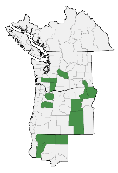 Map of where plant is found