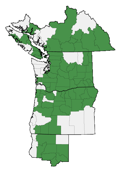 Map of where plant is found