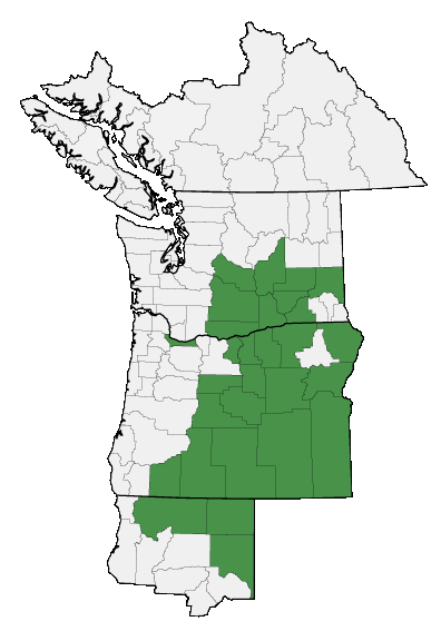 Map of where plant is found