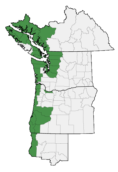 Map of where plant is found