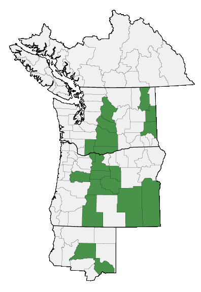 Map of where plant is found