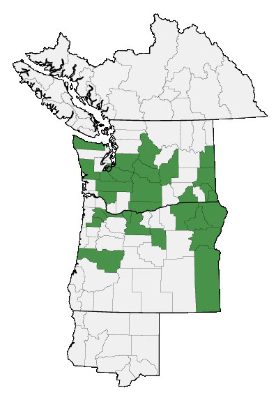 Map of where plant is found