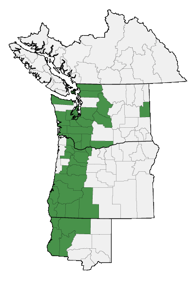 Map of where plant is found