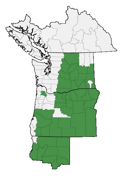 Map of where plant is found