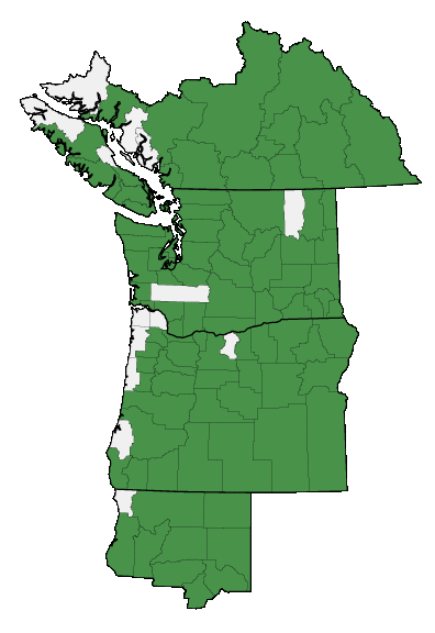 Map of where plant is found