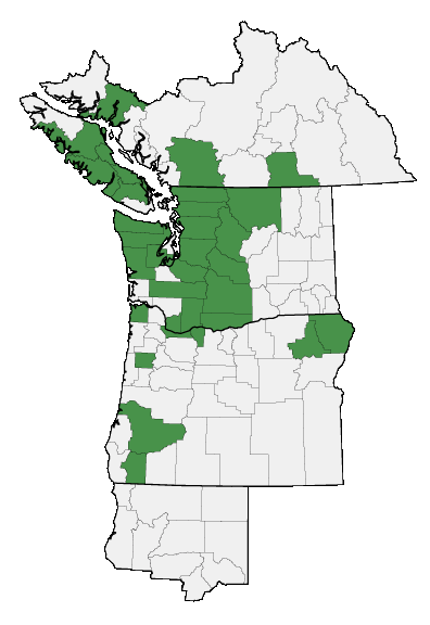 Map of where plant is found