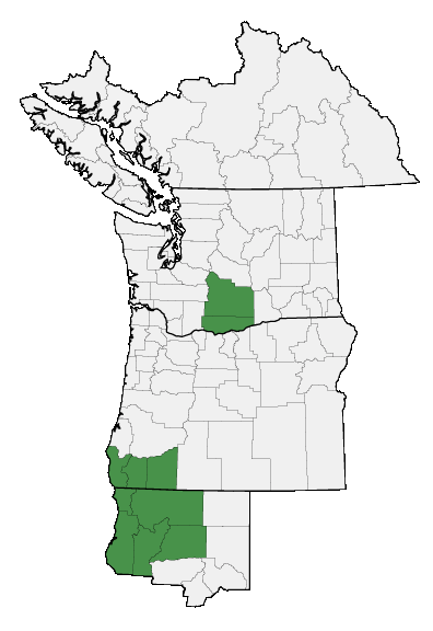 Map of where plant is found