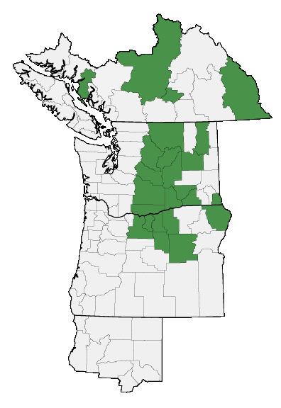 Map of where plant is found