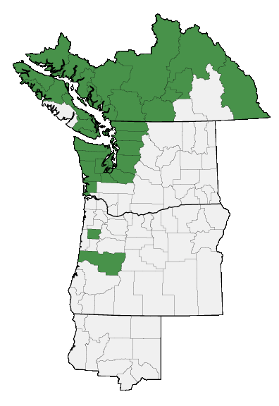 Map of where plant is found