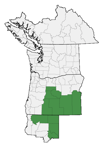 Map of where plant is found