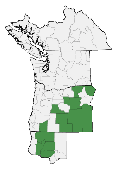 Map of where plant is found