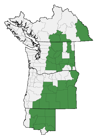 Map of where plant is found