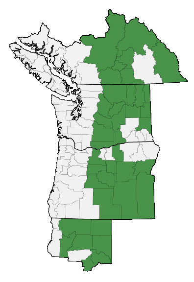 Map of where plant is found