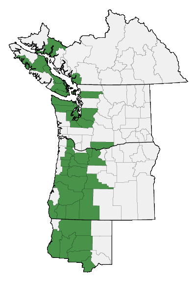 Map of where plant is found