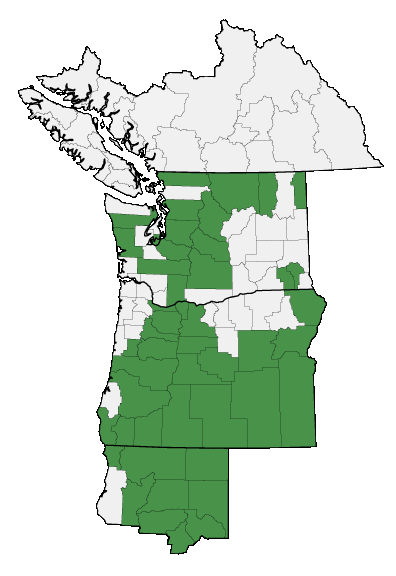 Map of where plant is found