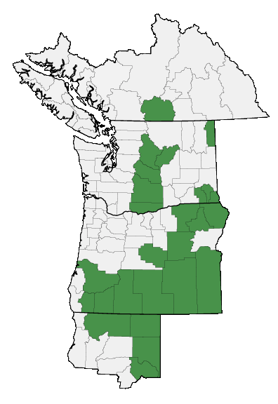 Map of where plant is found